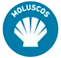 Molusco